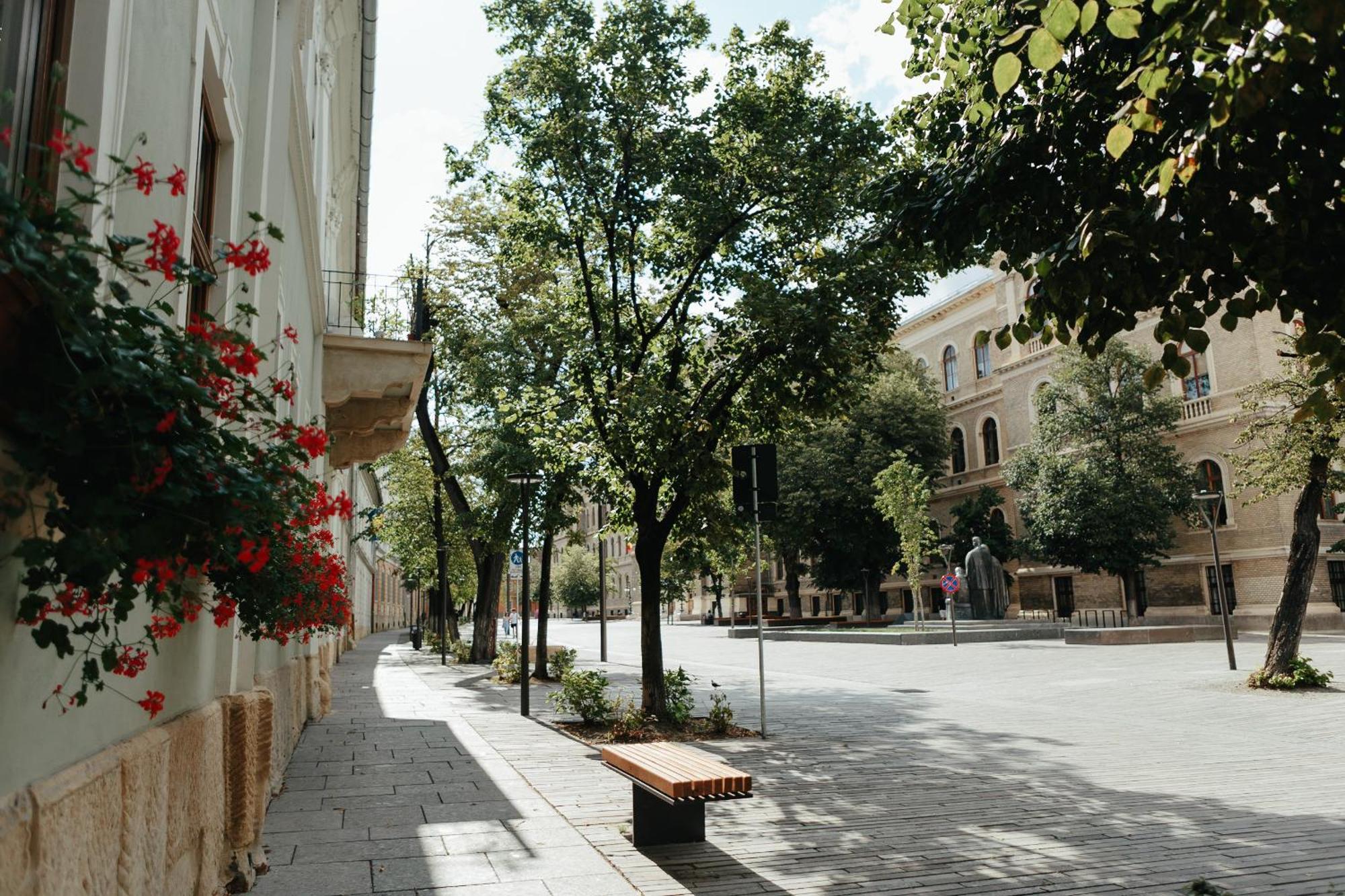 Apartment Contessa Cluj-Napoca